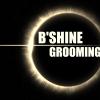 BShineGrooming