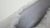 post-1425-0-75850400-1407228262_thumb.jpg