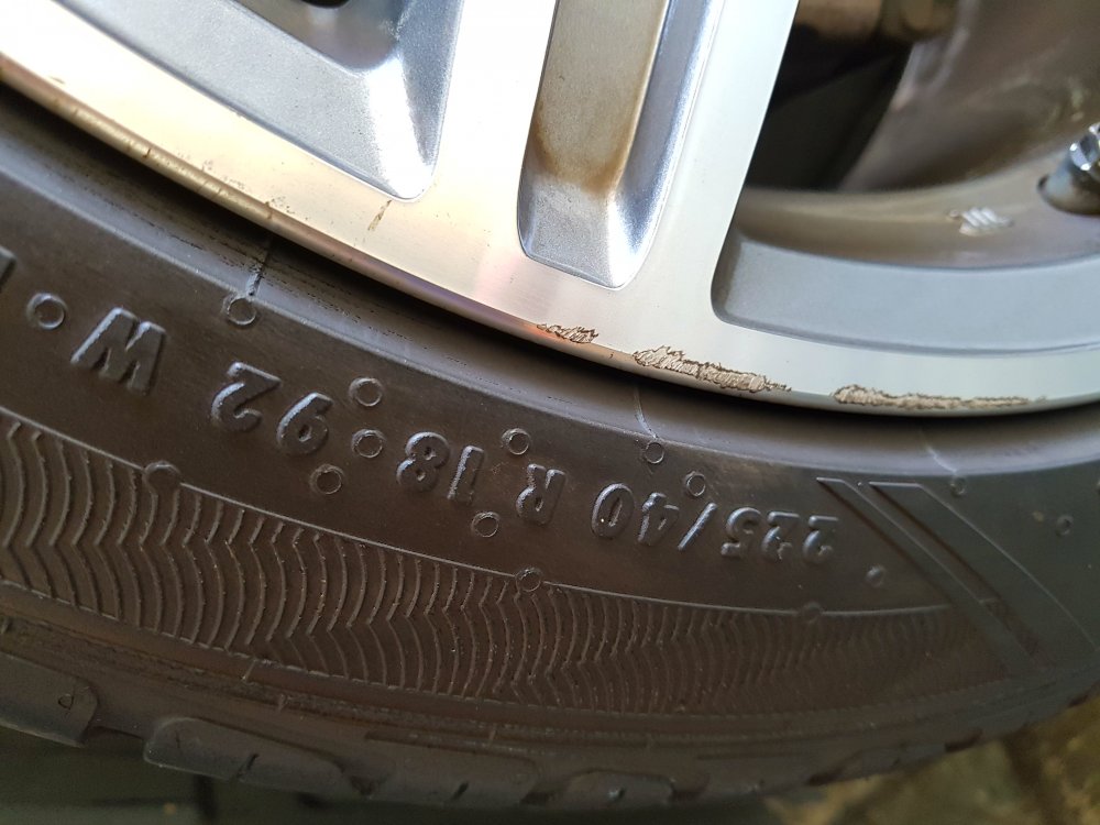 rim2.jpg
