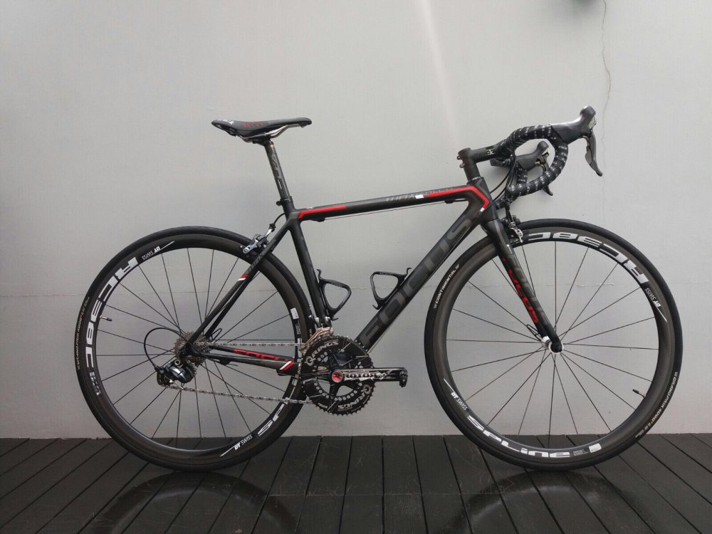 Focus_Izalco_Max.JPG