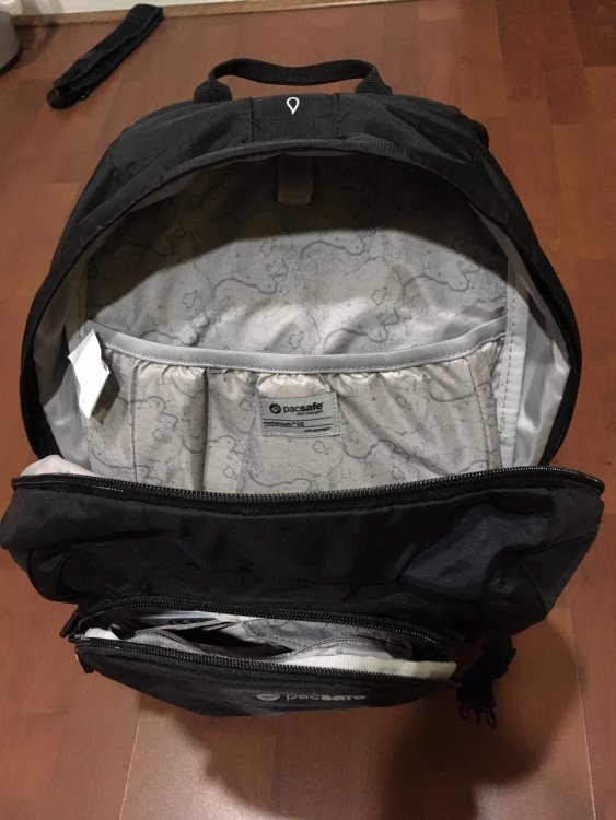 Pacsafe bag 3.jpg
