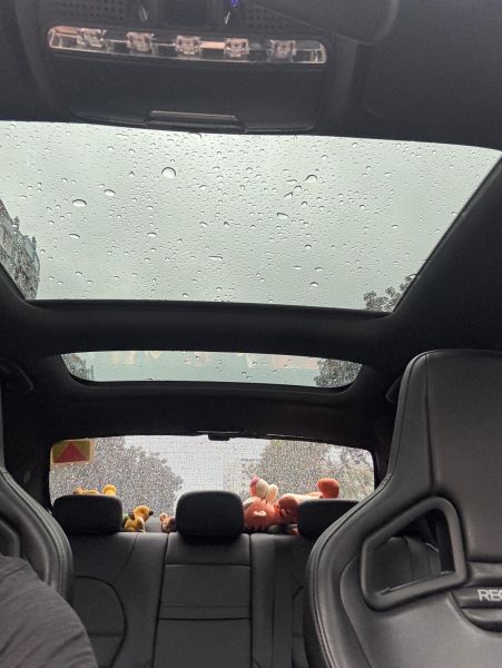 Panaromic Roof.jpeg